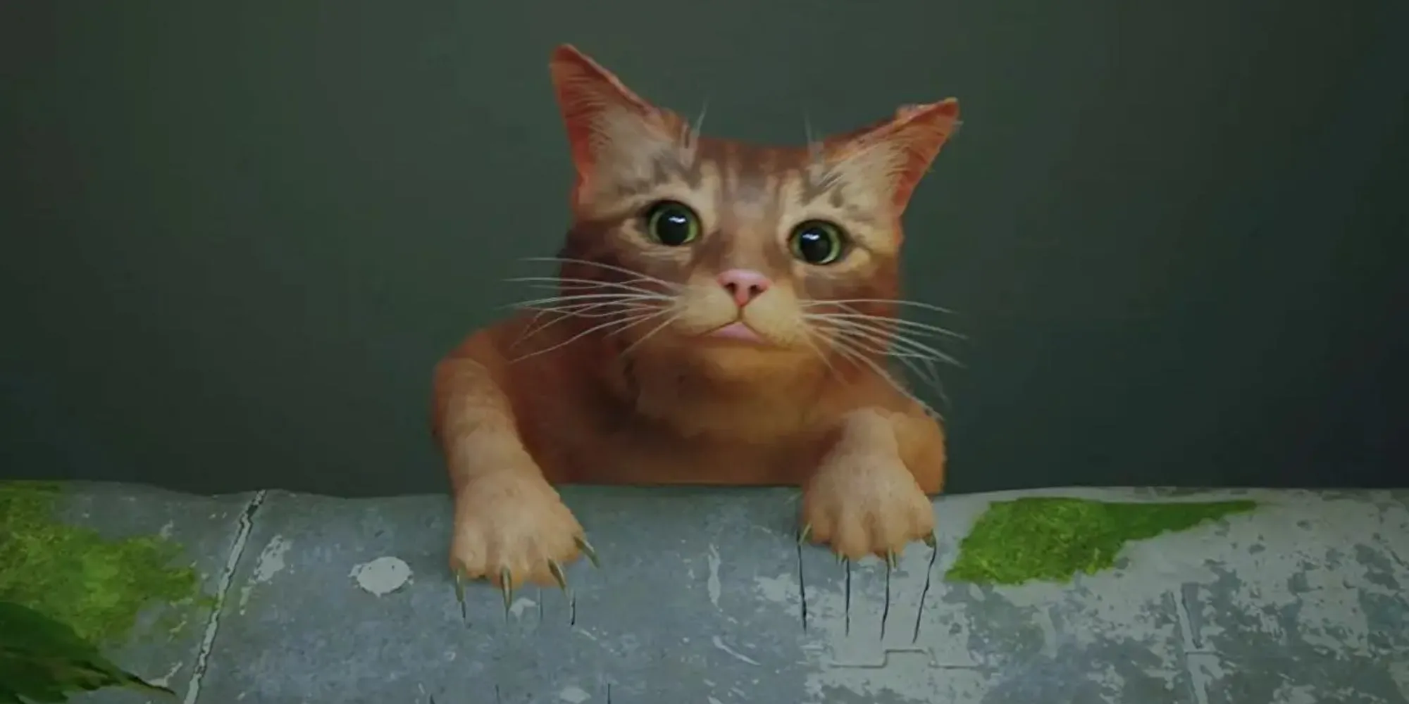Chú mèo nhân vật chính trong game Stray lê bước một mình sau khi bị tách khỏi gia đình