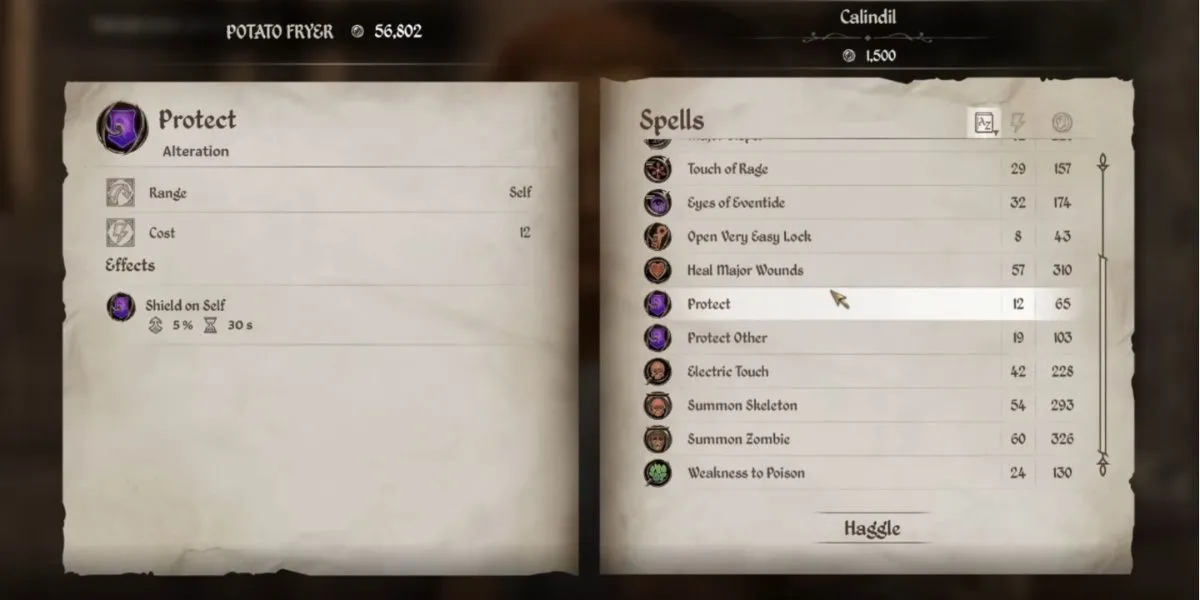 Hiệu ứng phép Protect tăng giáp cho nhân vật trong The Elder Scrolls IV Oblivion Remastered