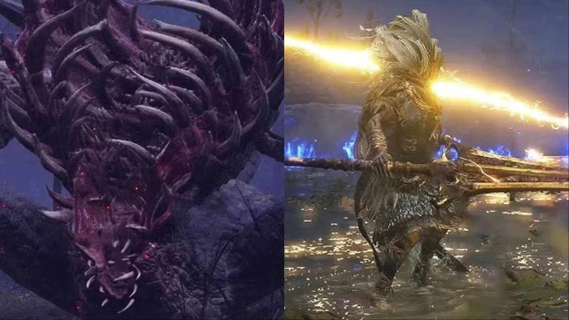Hình ảnh boss Gaping Dragon và Nameless King từ Dark Souls xuất hiện trong chế độ Elden Ring Nightreign