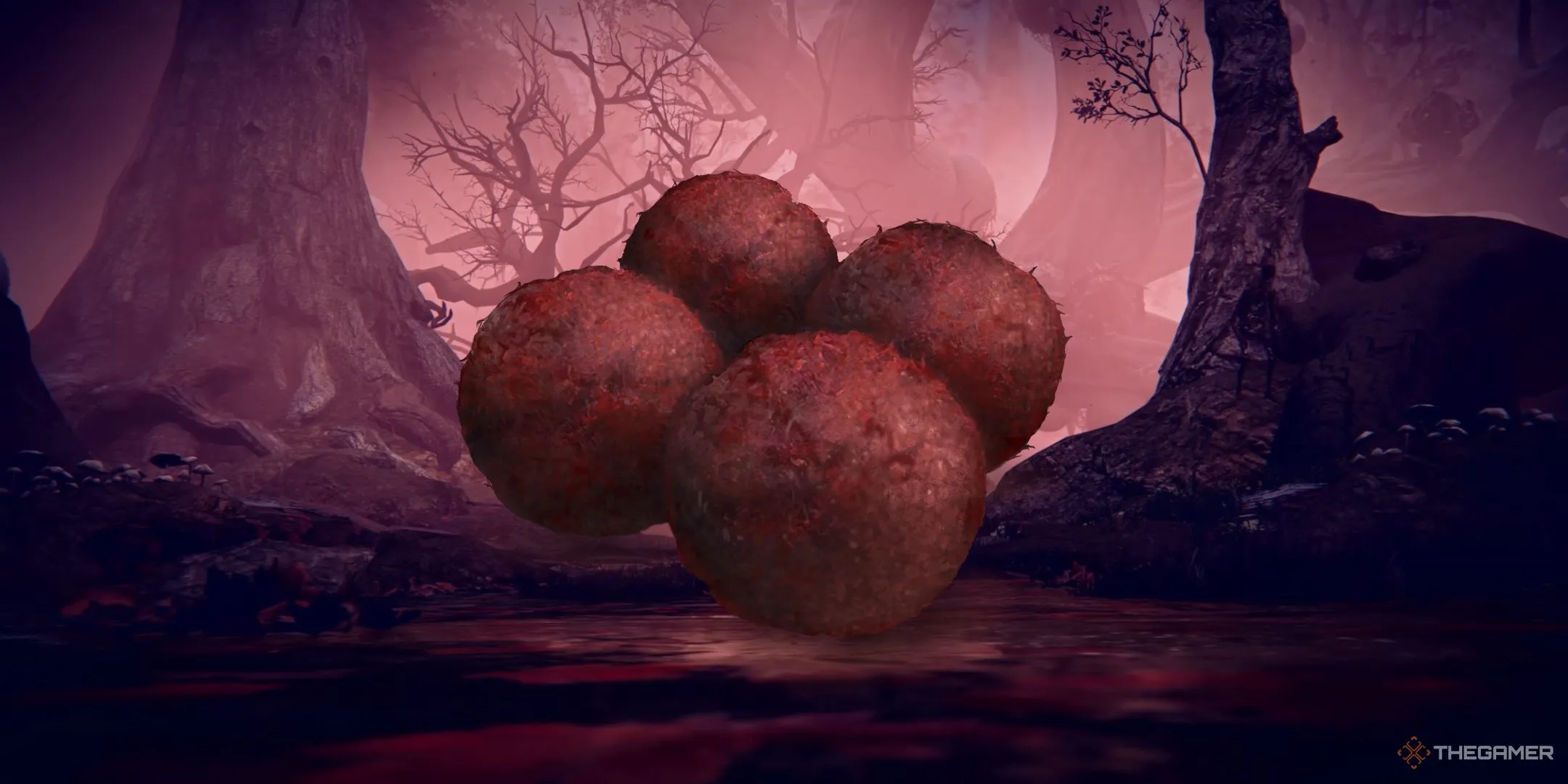 Hộp Boluses trên nền Rotted Woods trong Elden Ring Nightreign