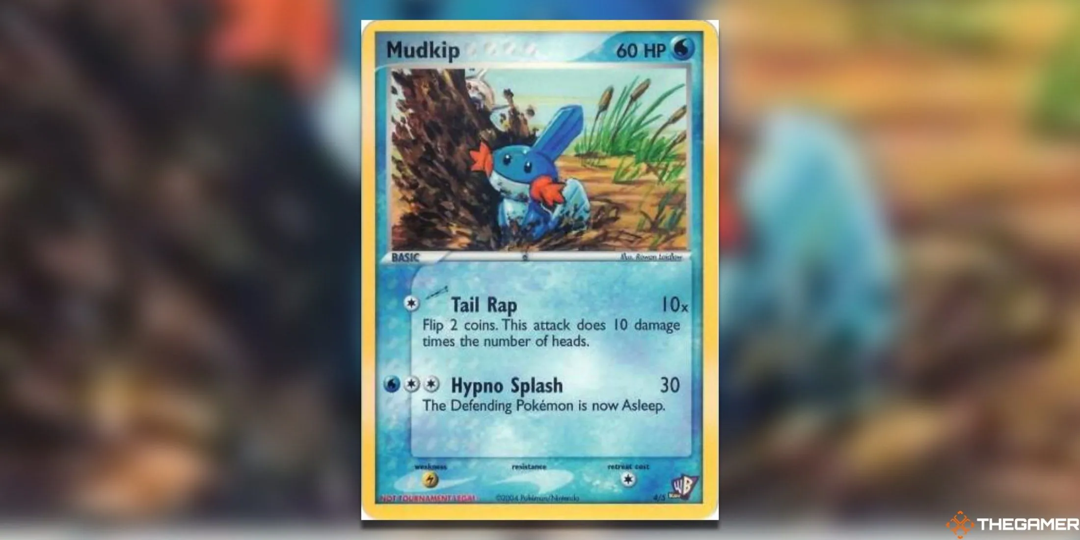 Thẻ bài Mudkip Kids WB Promo từ Pokemon TCG