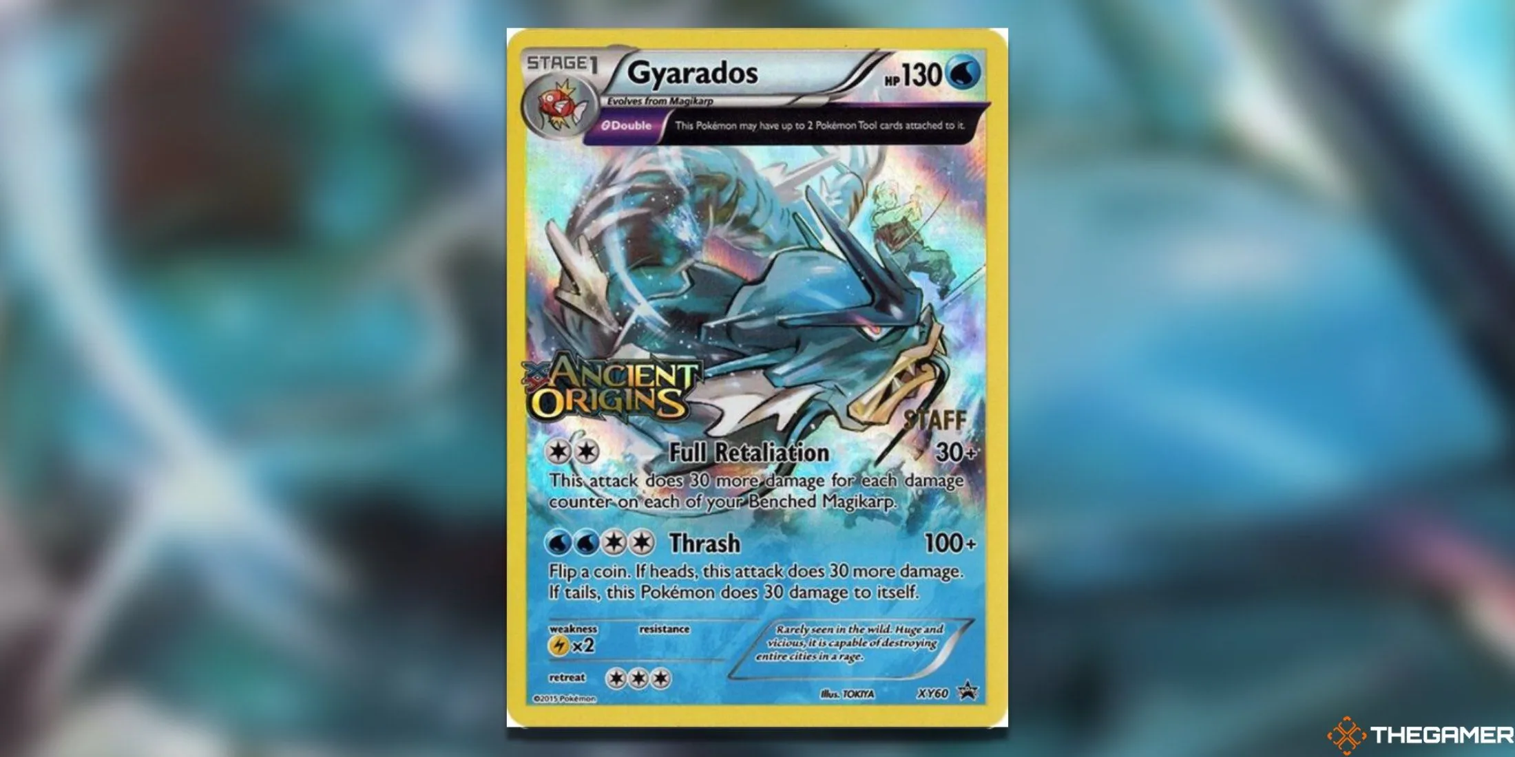 Thẻ Gyarados XY Promo Staff của Pokemon TCG